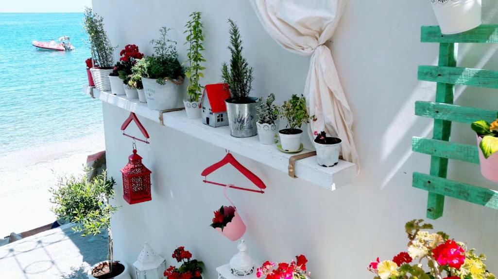 Hébergement de vacances Bloom By The Sea (adults Only)