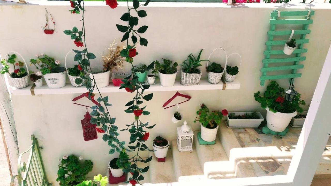 Bloom By The Sea (adults Only) Agia Pelagia (Kreta)