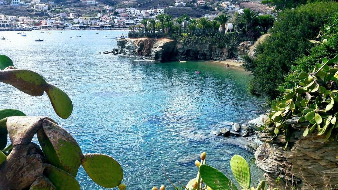 Bloom By The Sea (adults Only) Agia Pelagia (Kreta)